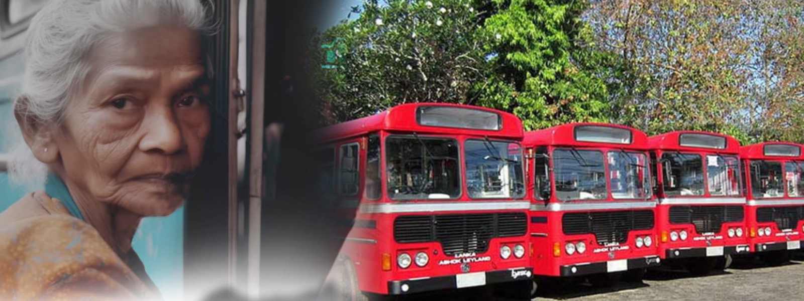 නව ග්‍රාමීය මාර්ග 40ක අද (01) සිට බස් ධාවනයට පියවර